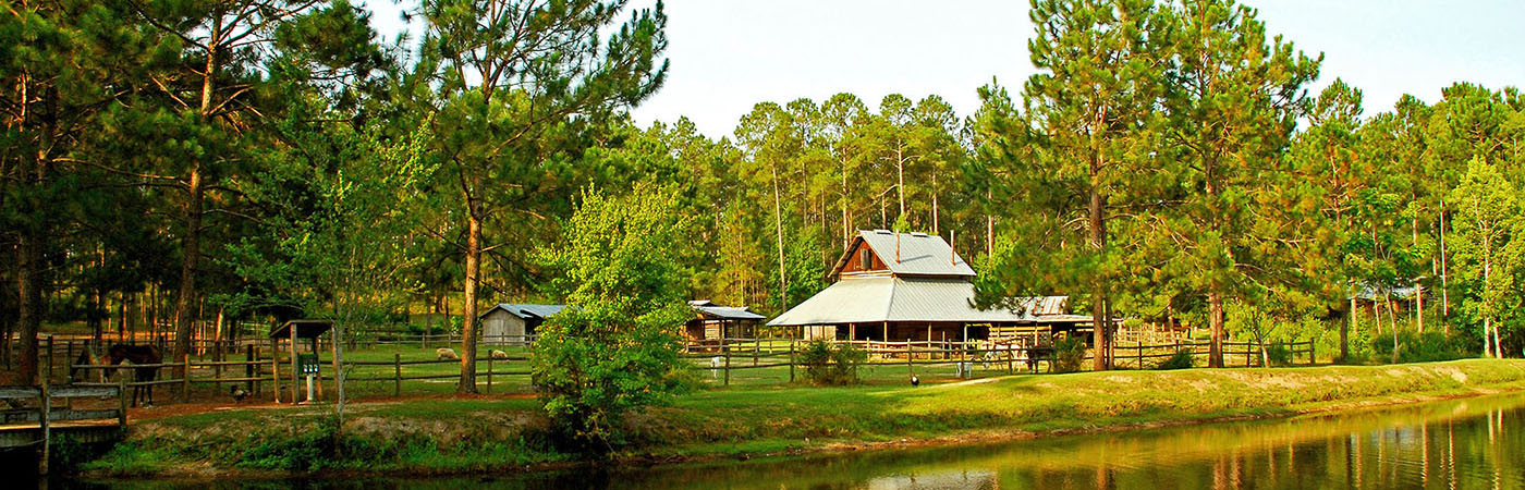 General Coffee State Park