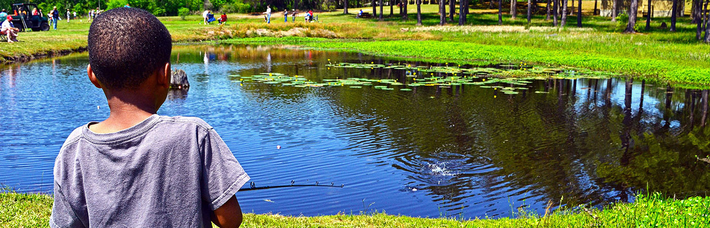 Reed Bingham State Park