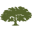 DNR Icon
