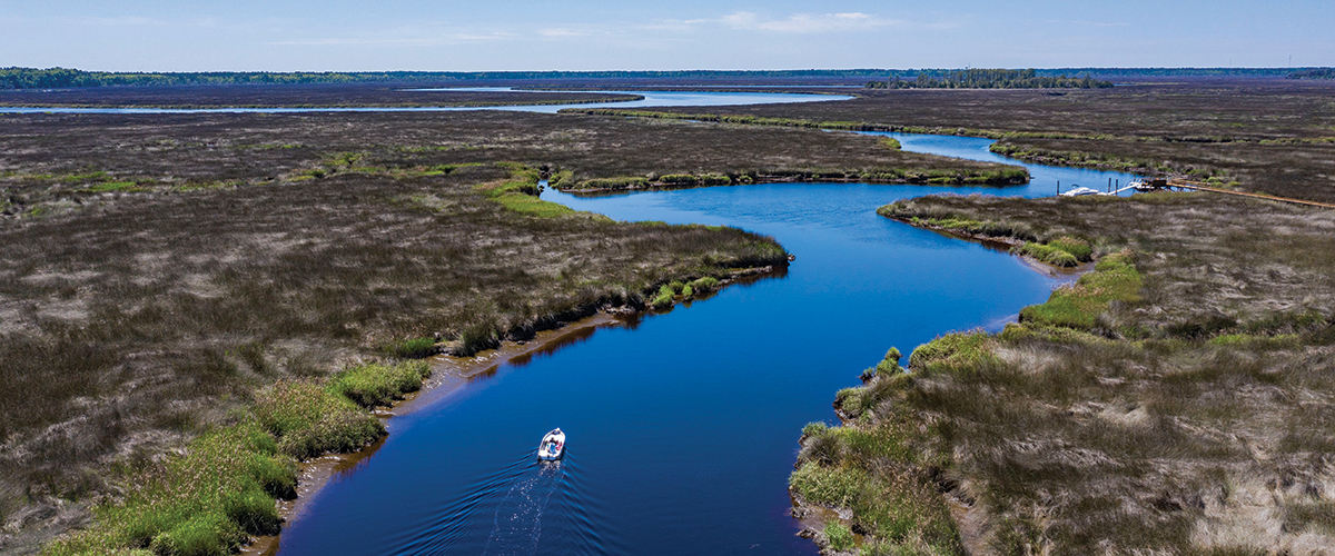 Marsh scene in Camden County. Photo by Ashley Alexander. Marsh scene in Camden County. Photo by Ashley Alexander.