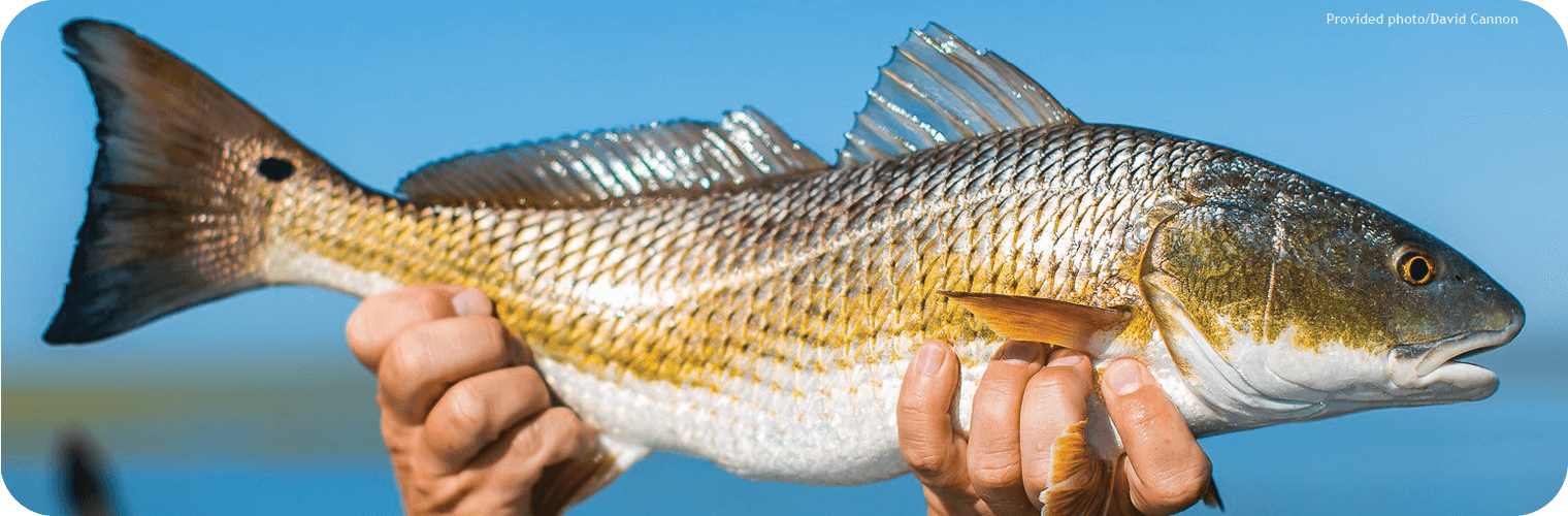 Recreational Saltwater Fishing Recreational Saltwater Fishing