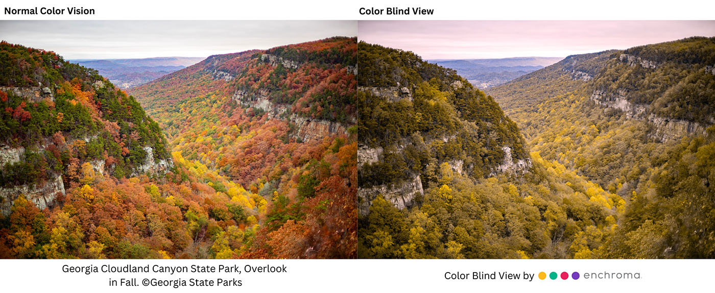 comparison image with normal and colorblind view