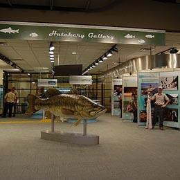 Interior of Go Fish Center
